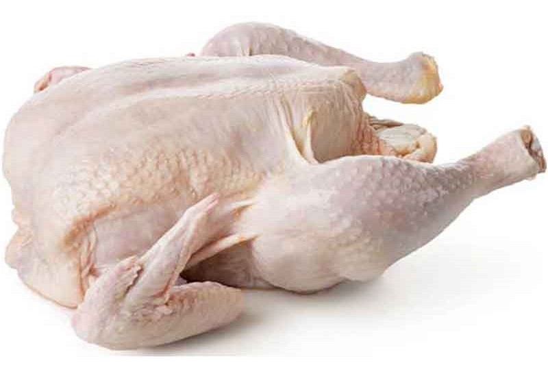 Meat of Boilar
