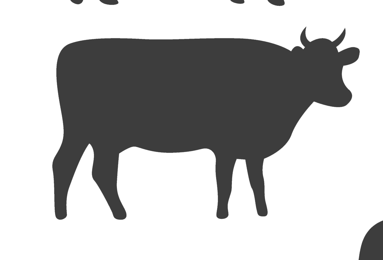 Meat & Fish