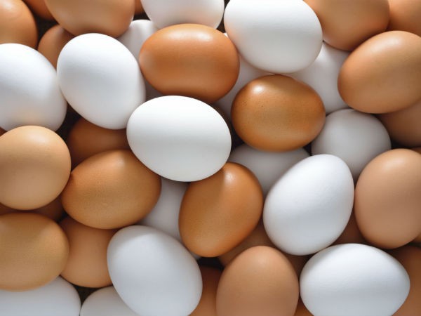 Egg